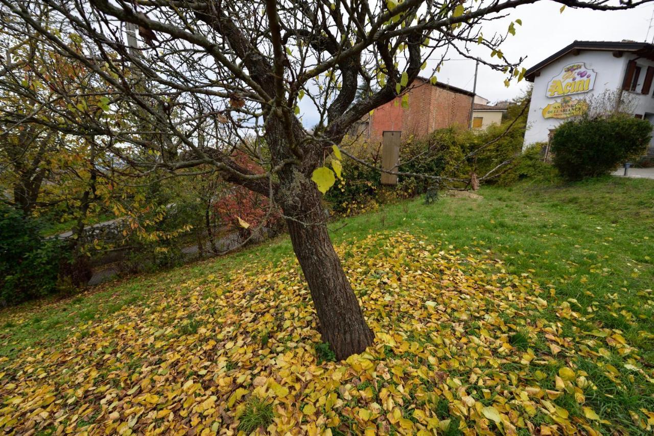 Bed and Breakfast Gli Acini Pietra dei Giorgi Esterno foto