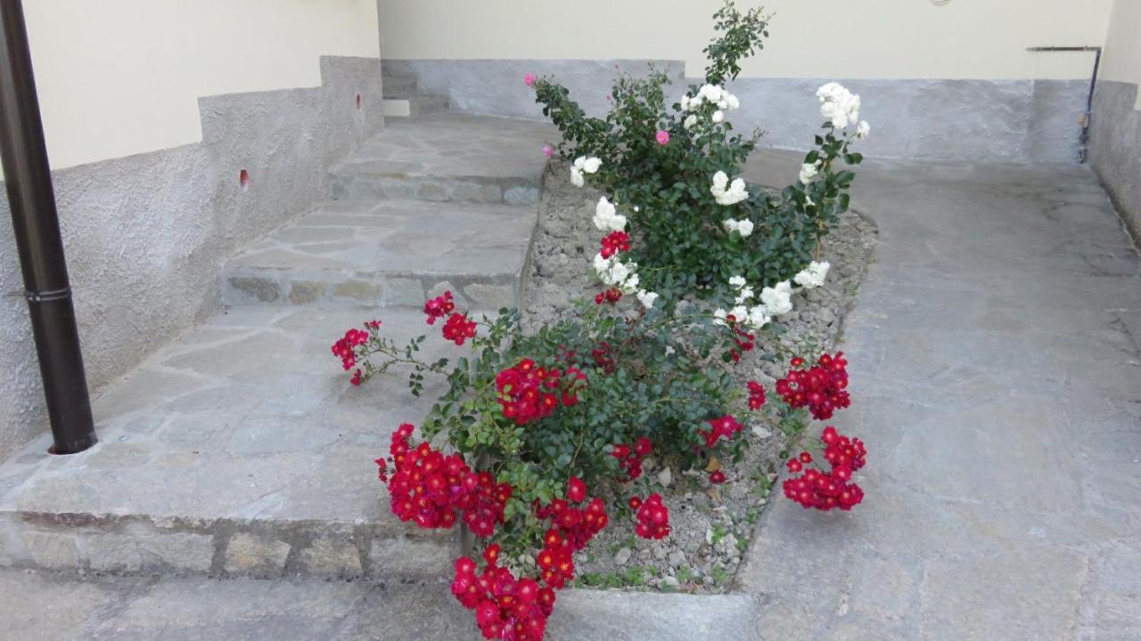 Bed and Breakfast Gli Acini Pietra dei Giorgi Esterno foto