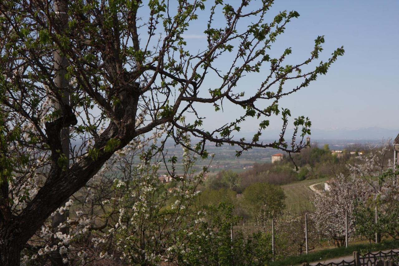 Bed and Breakfast Gli Acini Pietra dei Giorgi Esterno foto