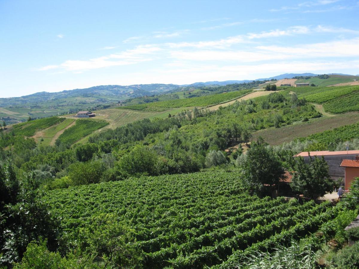 Bed and Breakfast Gli Acini Pietra dei Giorgi Esterno foto